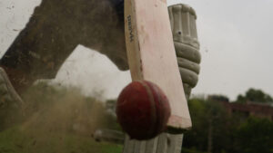 Cricket-War
